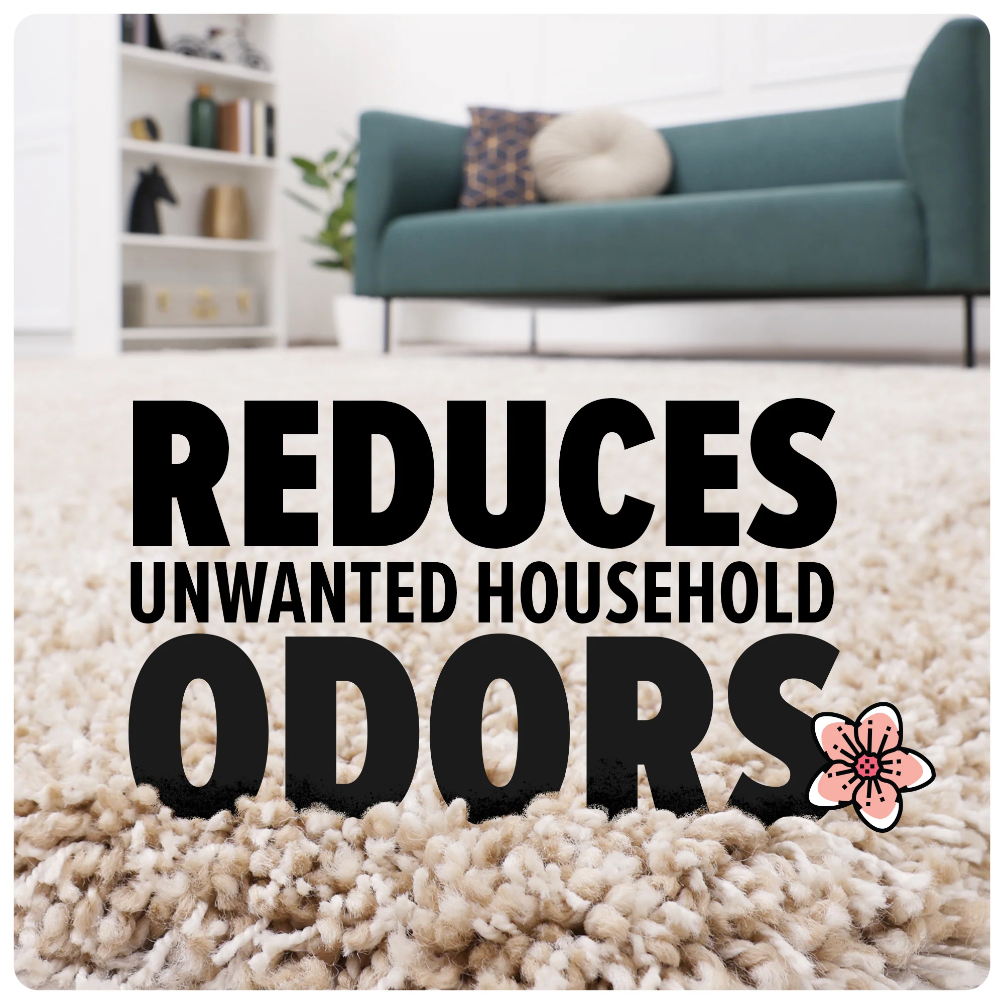 Multi-Surface Total Pet+ with 2 Carpet Powders - Image 10