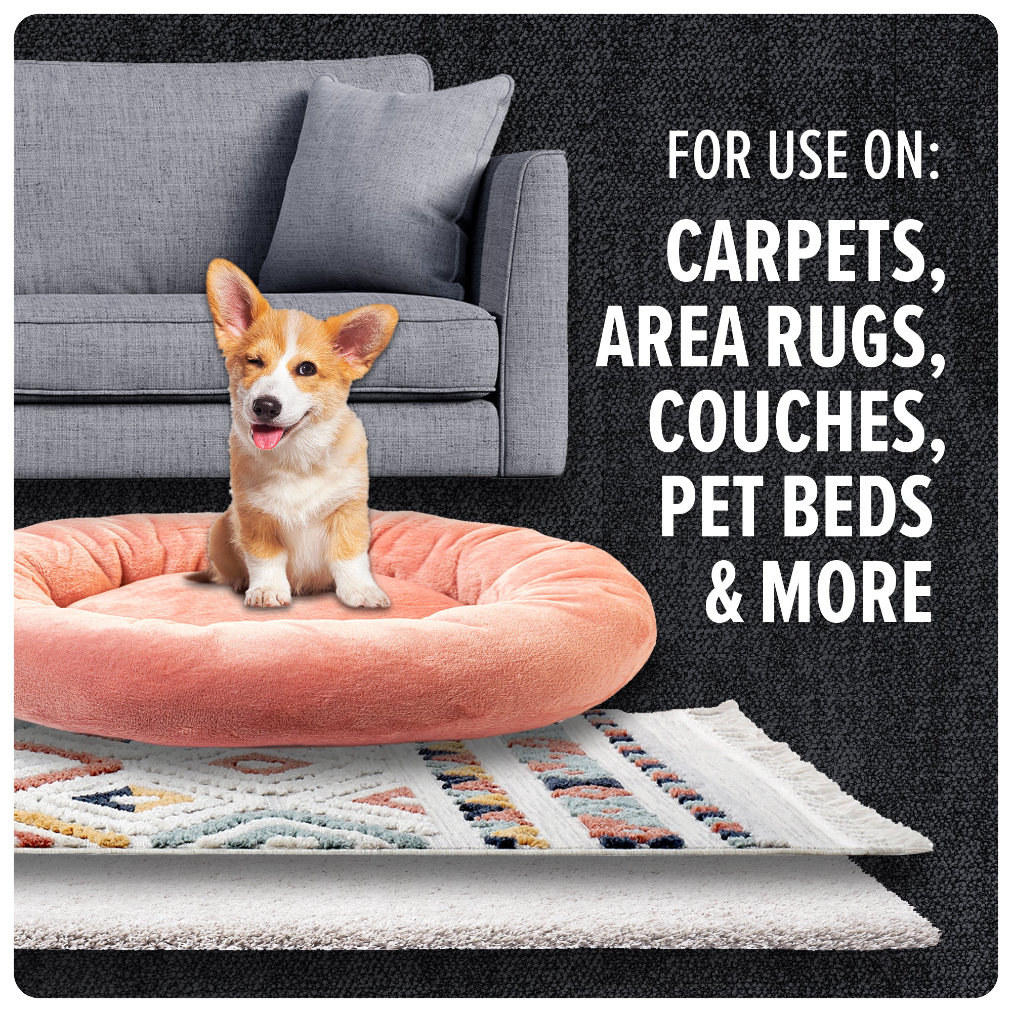 Multi-Surface Total Pet+ with 2 Carpet Powders - Image 12